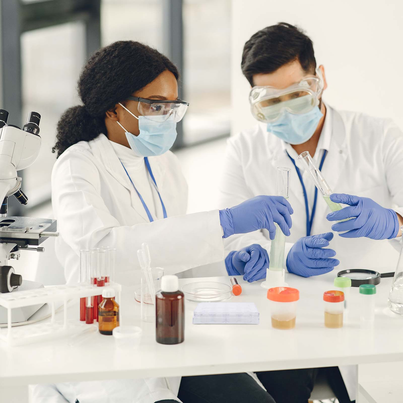 12-Hole Cell Culture Plate Tis - Lab Equipment 评论和价格